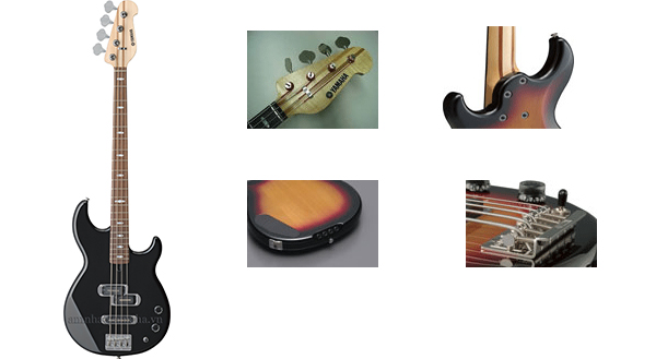 Sử dụng amply cho guitar bass
