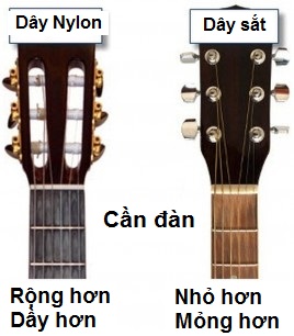 Phân biệt đàn guitar acoustic và guitar classic cho người mới