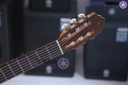Đàn guitar cổ điển YAMAHA C-315
