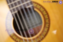 Đàn guitar cổ điển YAMAHA C-315
