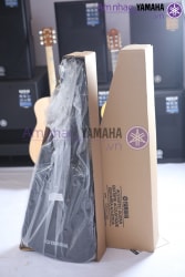 Đàn Guitar cổ điển C80