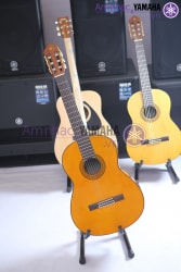 Đàn Guitar cổ điển C80