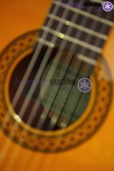 Đàn Guitar cổ điển C80