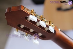 Đàn Guitar cổ điển C80