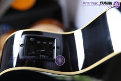 Đàn Acoustic guitar Yamaha CPX500II