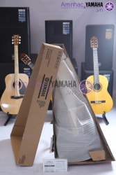 Đàn Acoustic guitar Yamaha CPX500II