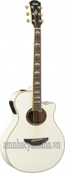 Đàn Guitar Acoustic điện A1R