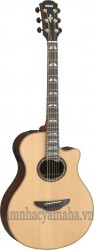 Đàn Guitar Acoustic điện AC1M