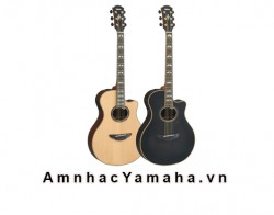 Đàn Guitar Acoustic điện APX1200II