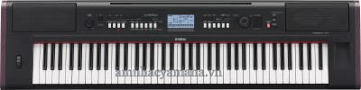 Đàn phím điện tử YAMAHA NP-V60