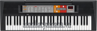 Đàn phím điện tử YAMAHA PSR-F50