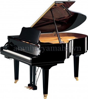 Đàn Piano lớn (Grand Piano) YAMAHA C3