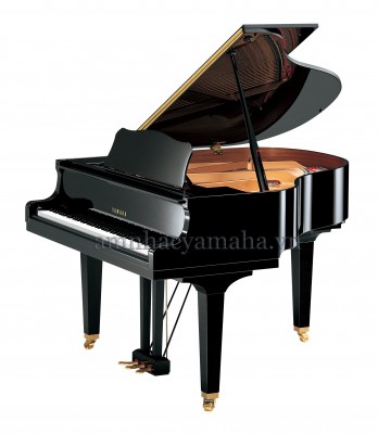 Đàn Piano lớn (Grand Piano) YAMAHA C6